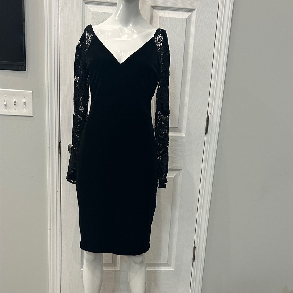 Elegant Black Lace Sleeve Dress